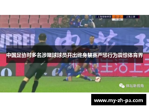 中国足协对多名涉赌球球员开出终身禁赛严惩行为震惊体育界