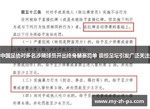 中国足协对多名涉赌球员开出终身禁赛罚单 震惊足坛引发广泛关注 中国足协对多名涉赌球员开出终身禁赛罚单 震惊足坛引发广泛关注